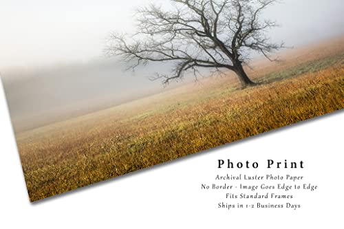 Картина на природата Печат (без рамка) Изображение на дървото, окутанного мъгла Късно сутринта в Грейт Смоуки Маунтинс, Тенеси,