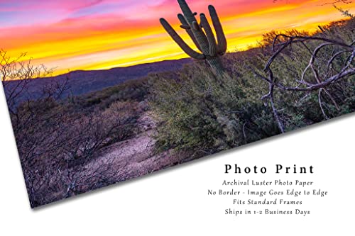 Юго-Западна снимка Принт (без рамка) Снимка на кактус Saguaro на изгрев слънце на пустинята Сонора в близост до Тусона, щата Аризона,