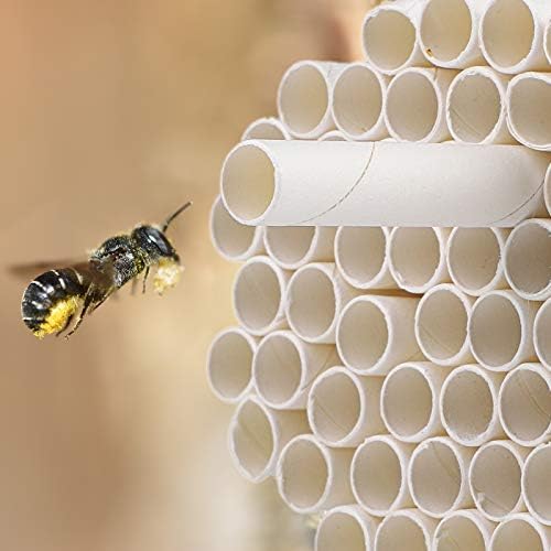 URATOT 120 Бр. Хартиени Втулки за пчеларството Mason, 6 Инча, Сменяеми Втулки за картон за Пчеларя, Тръба за Гнездене на Пчелите