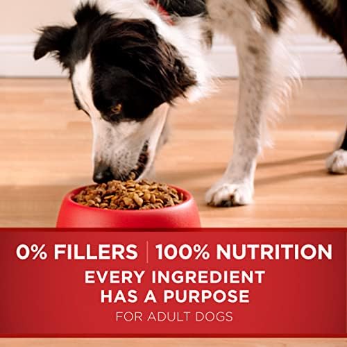 Суха храна за кучета Purina ONE с агнешко месо и ориз - 16,5 на килограм в опаковка