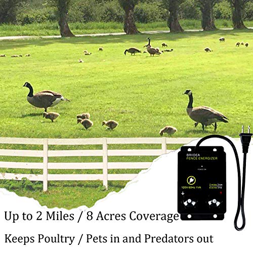 Briidea 2-Мили електрическа ограда Energizer за Предотвратяване Проникването На диви животни в 8 Дка Изходно напрежение 5000 0,1 Джаул